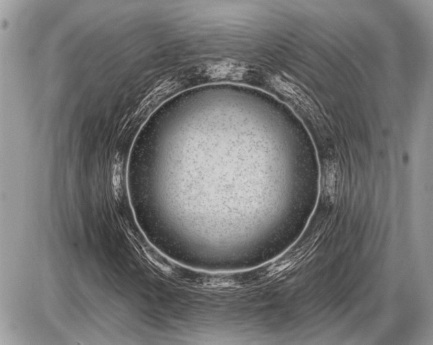 X0000086781154200704131207