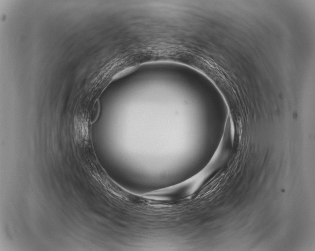 X0000086781155200704131207