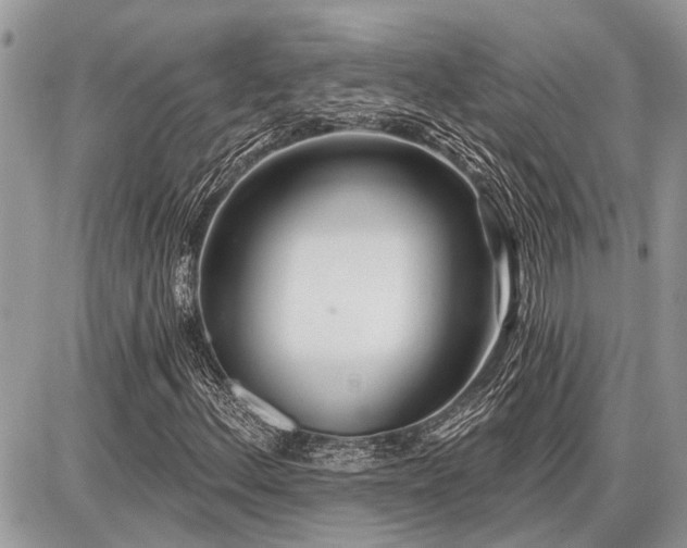 X0000086781156200704131207