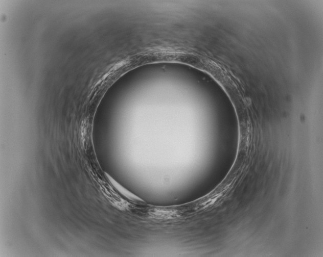 X0000086781157200704131207