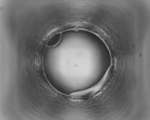 X0000086781158200704131207