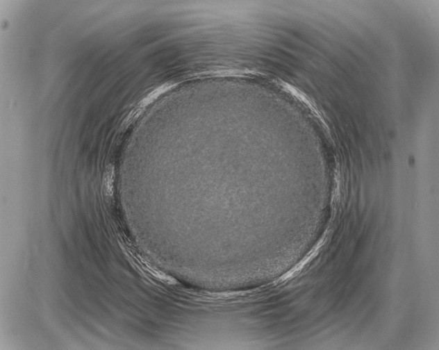 X0000086781161200704131207