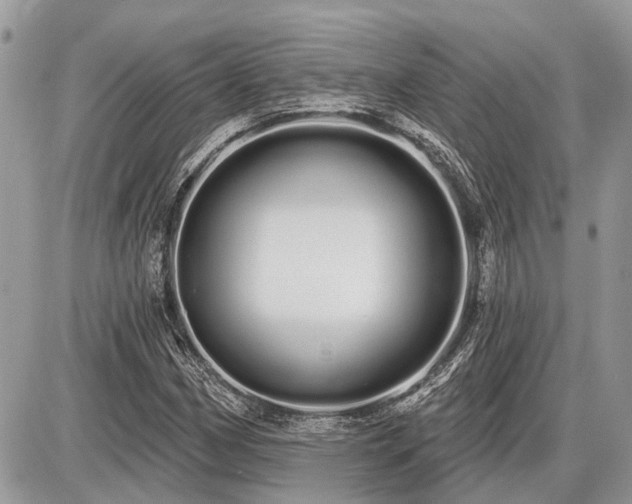 X0000086781162200704131207