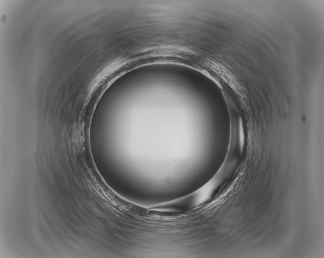 X0000086781164200704131207