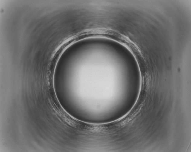 X0000086781166200704131207