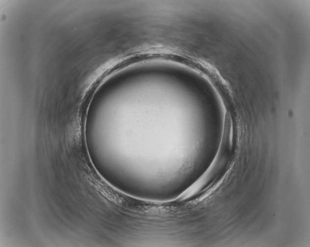 X0000086781167200704131207