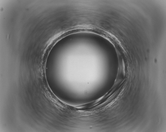 X0000086781168200704131207