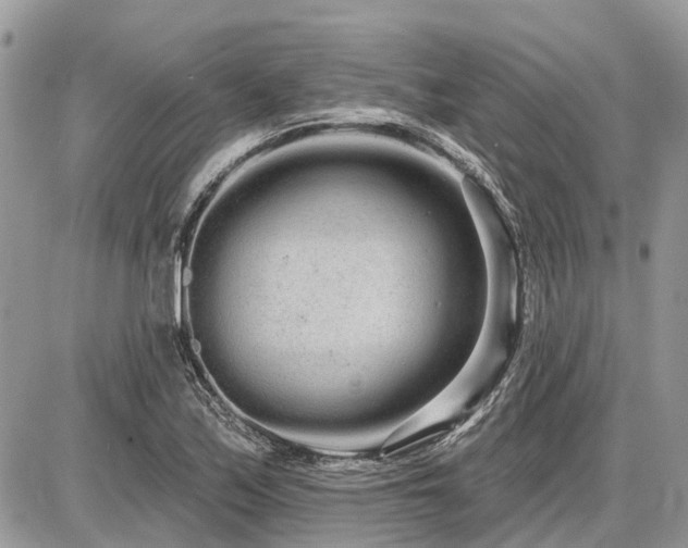 X0000086781171200704131207