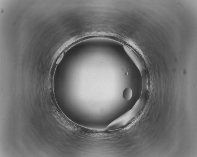 X0000086781173200704131207