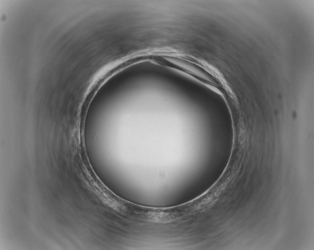 X0000086781176200704131207