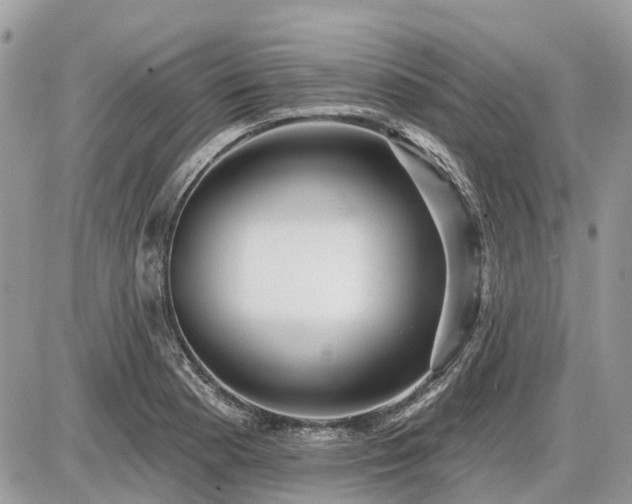 X0000086781177200704131207