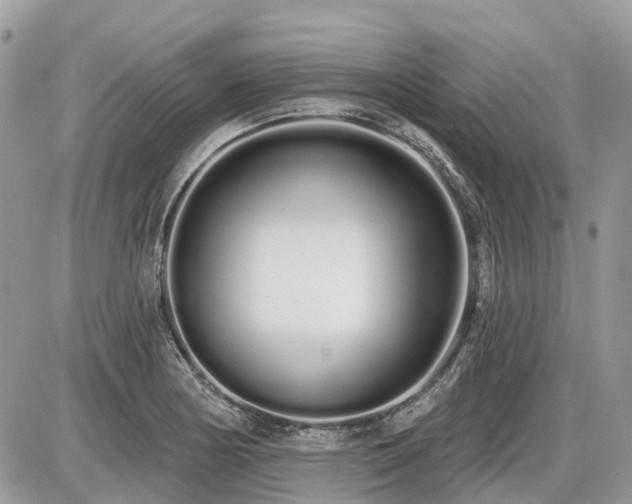 X0000086781178200704131207