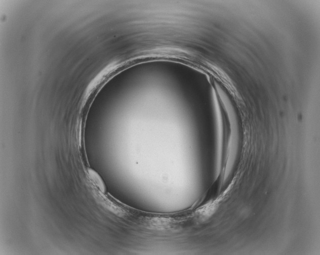 X0000086781180200704131206