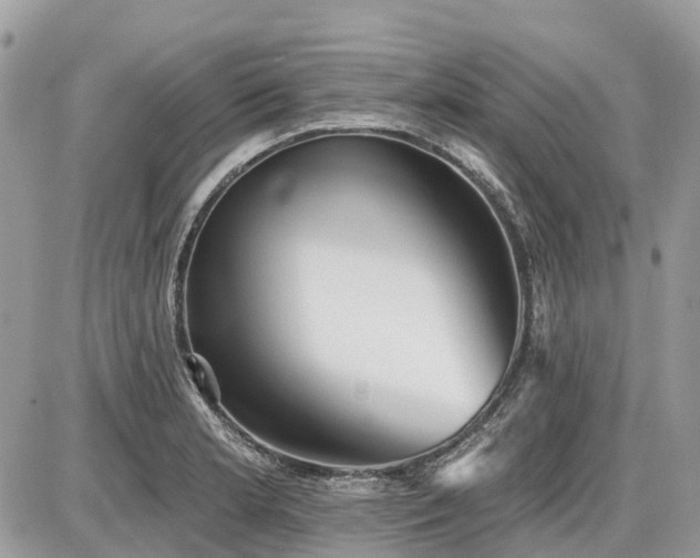 X0000086781181200704131206