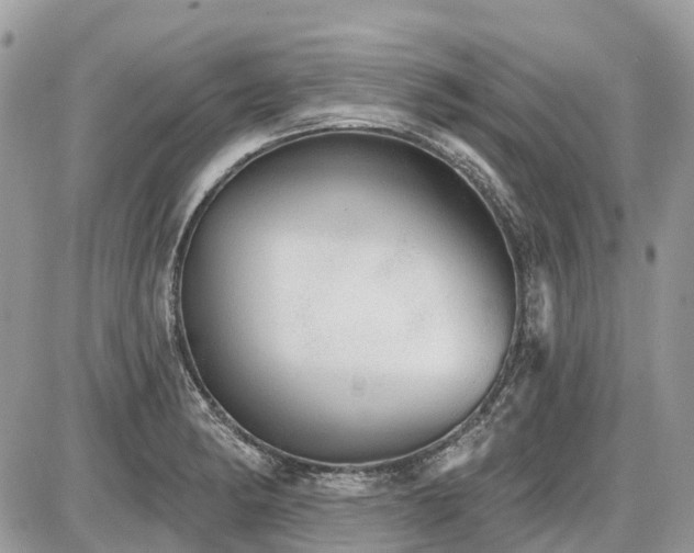 X0000086781182200704131206