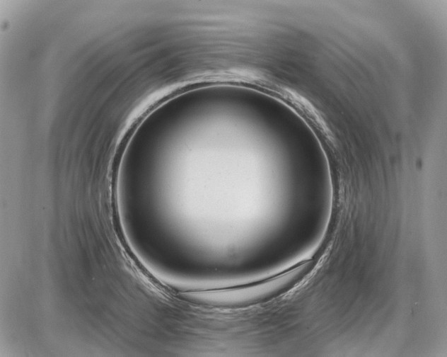 X0000086781184200704131206