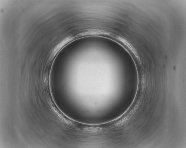 X0000086781185200704131206