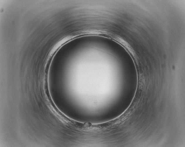 X0000086781187200704131206