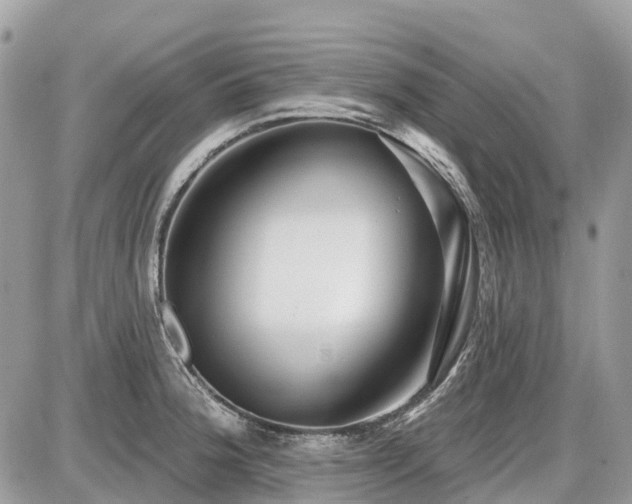 X0000086781188200704131206