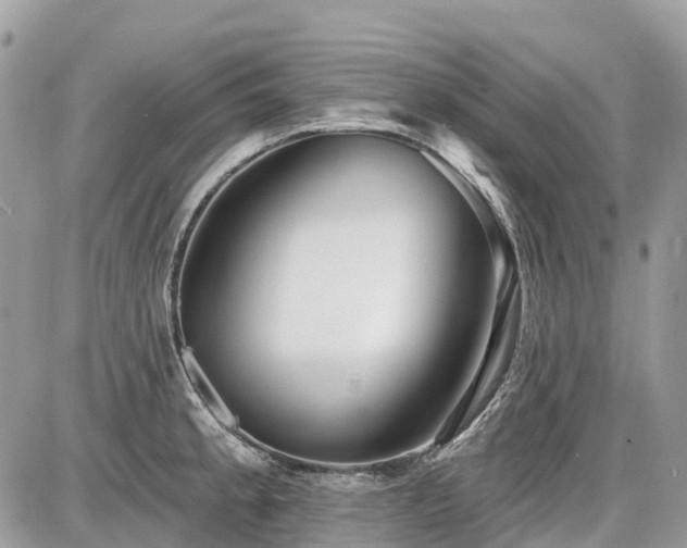 X0000086781189200704131206