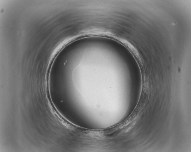 X0000086781191200704131206
