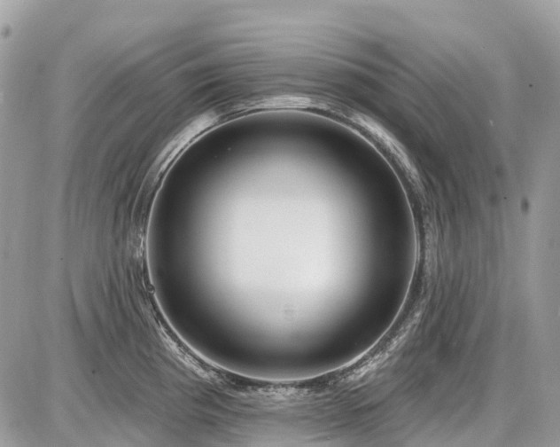 X0000086781193200704131206