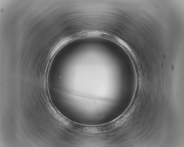 X0000086781194200704131206