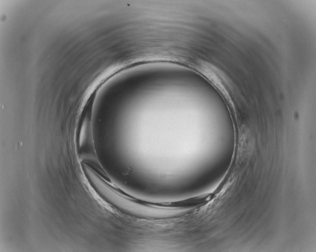 X0000086781197200704131206