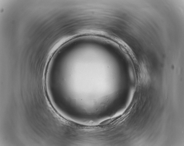 X0000086781199200704131206