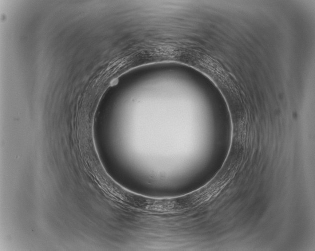 X0000086781201200704131205