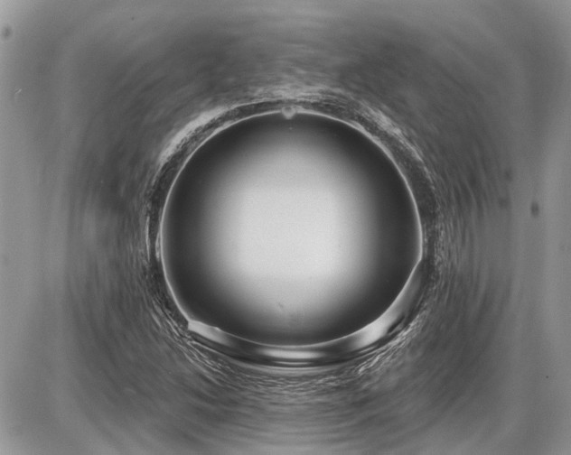 X0000086781214200704131206