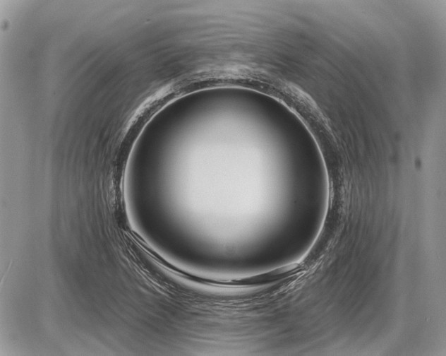 X0000086781218200704131206