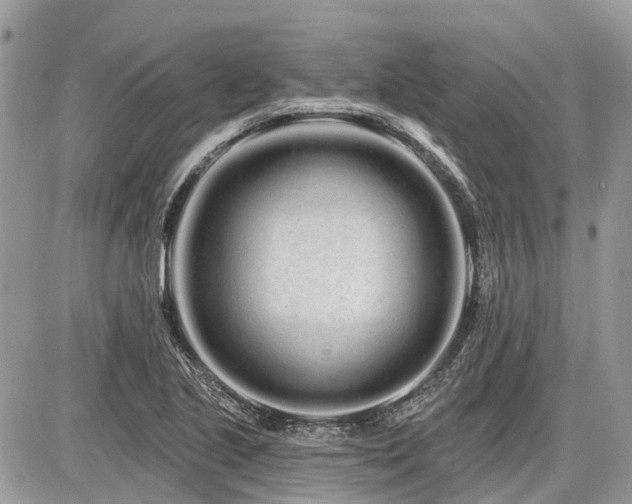 X0000086781221200704131206