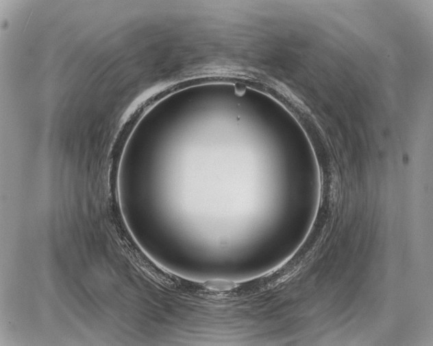 X0000086781222200704131206