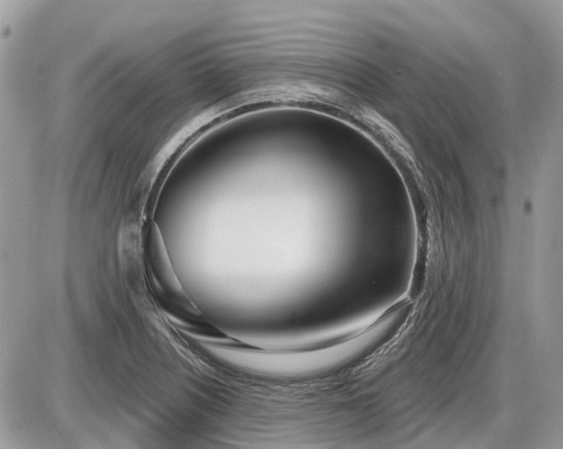 X0000086781226200704131206