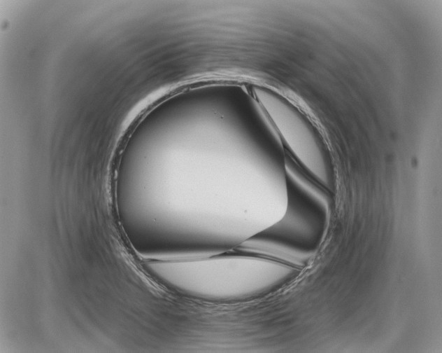 X0000086781230200704131206