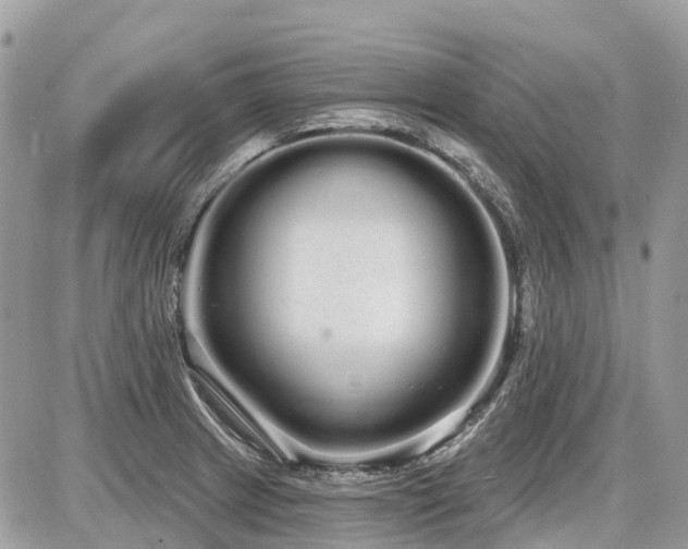 X0000086781233200704131206