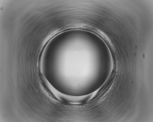 X0000086781234200704131206