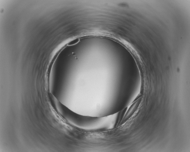 X0000086781238200704131206