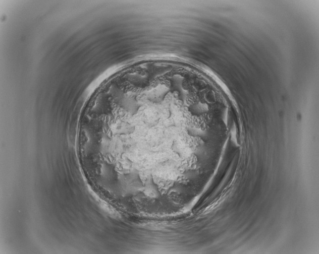 X0000086781245200704131206