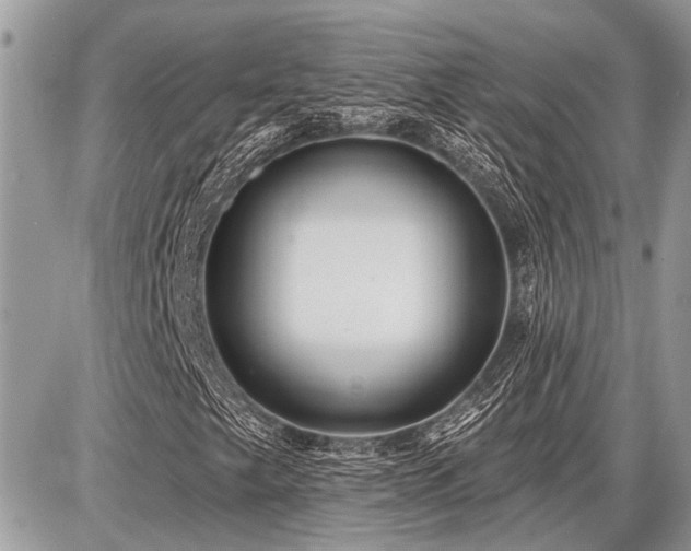 X0000086781249200704131205
