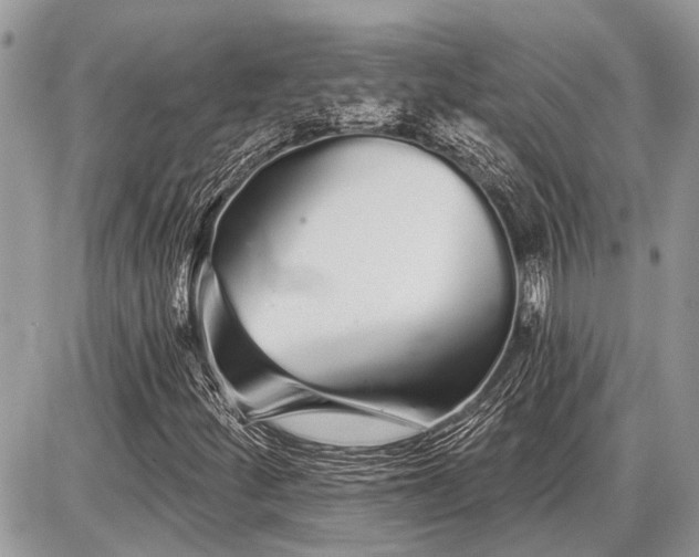 X0000086781252200704131205