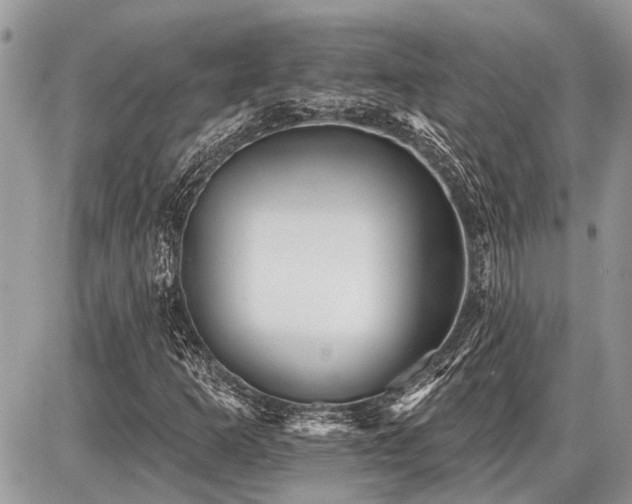X0000086781253200704131205