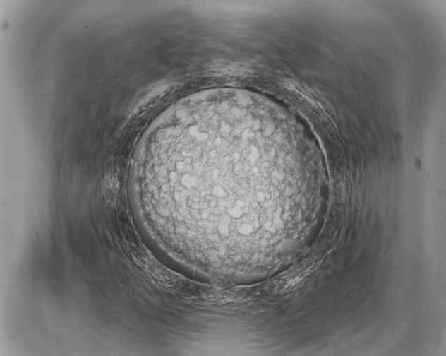 X0000086781254200704131205