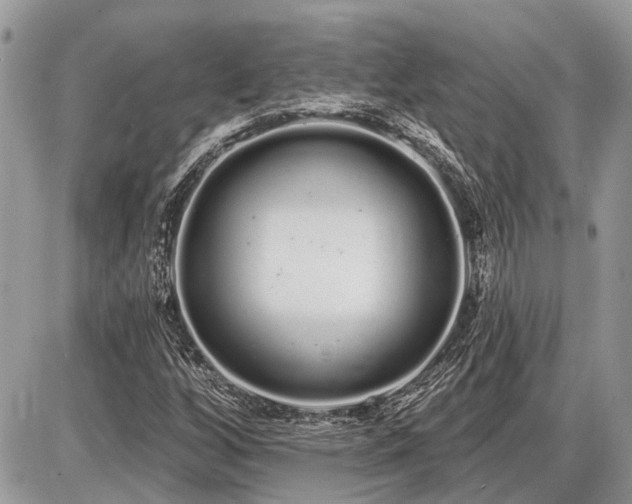 X0000086781256200704131205