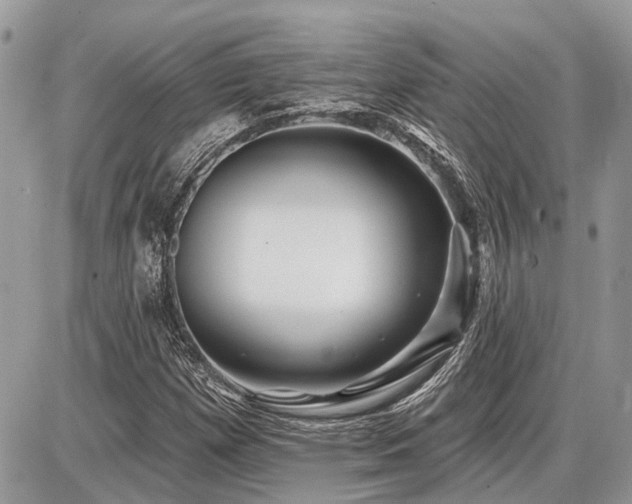 X0000086781257200704131205