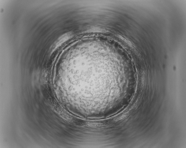 X0000086781258200704131205