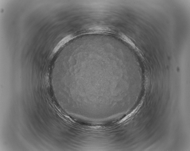 X0000086781259200704131205