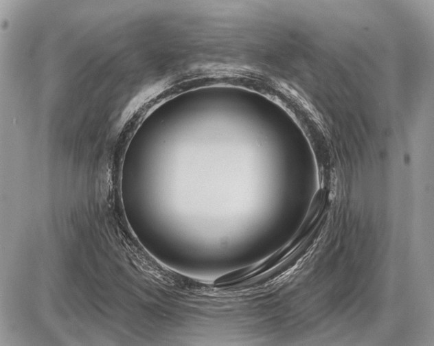 X0000086781261200704131205