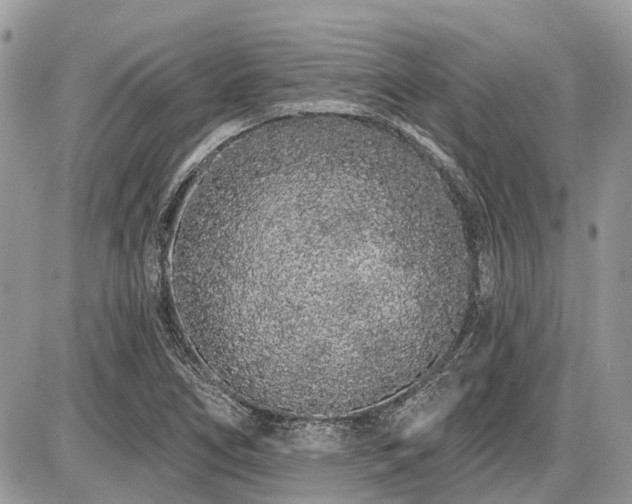 X0000086781266200704131205